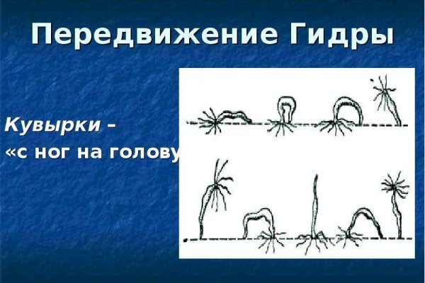 Кракен оф ссылка