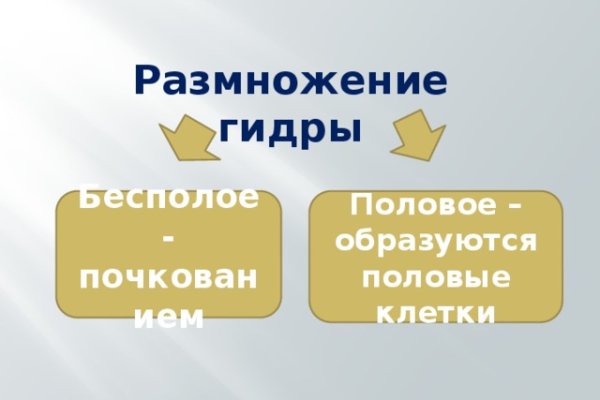 Кракен зеркало сайта