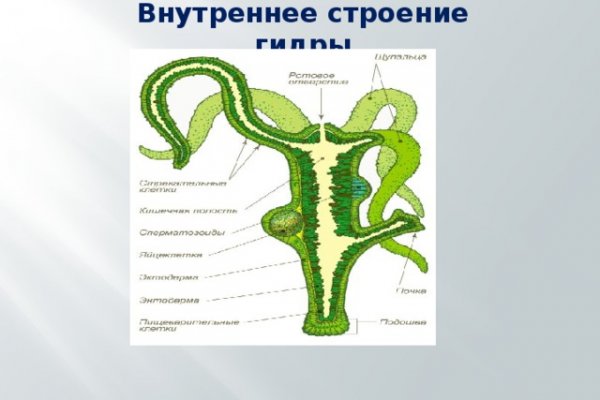 Сайт кракен тор